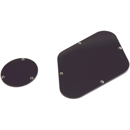 Gibson PRDK-030 Backplate Combo
