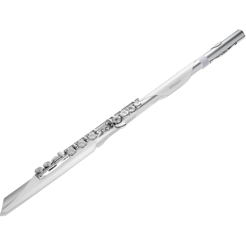 Roland AE-BRISA Aerophone Brisa