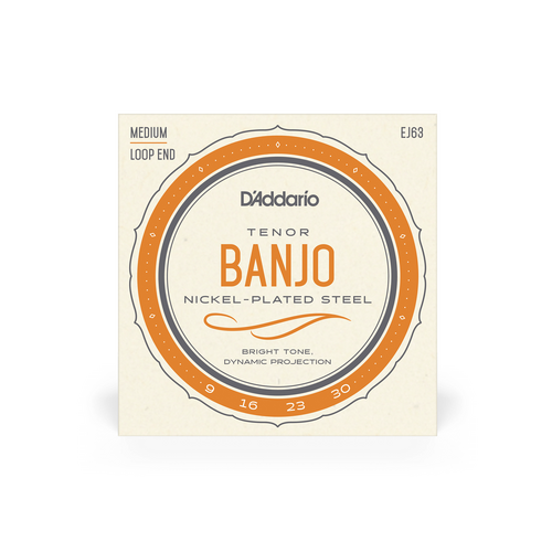 D'Addario EJ63 Tenor Banjo String Set