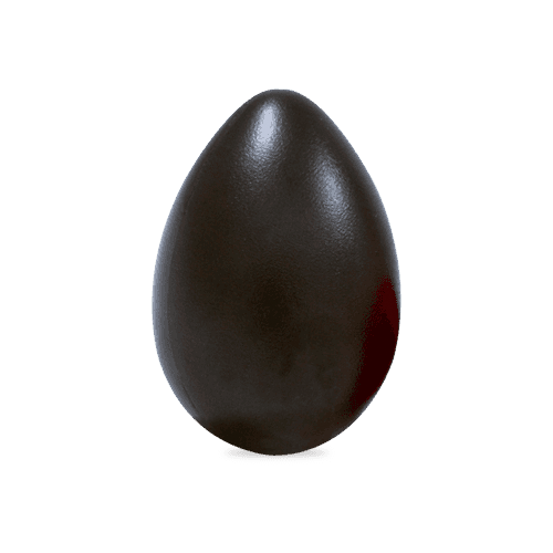 Latin Percussion Big Egg Shaker Black