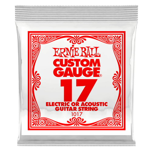 Ernie Ball .017 Plain Steel Electric Or Acoustic Guitar String