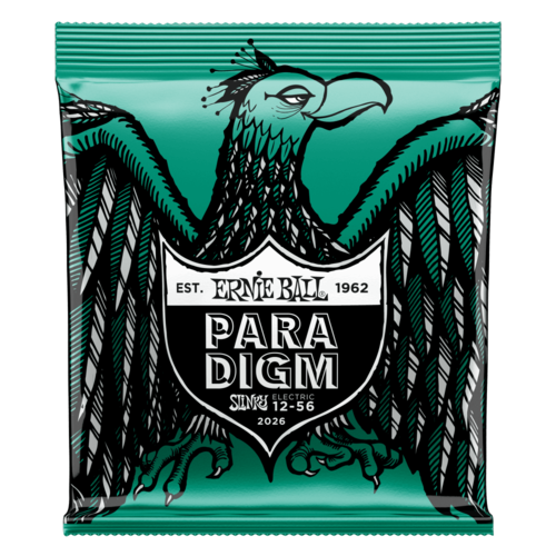Ernie Ball 2026 Paradigm Not Even Slinky