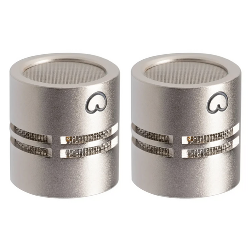 sE Electronics RN17 Cardioid Capsule Matched Pair