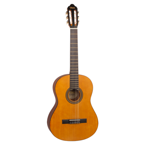 Valencia VC204L 200 Series 4/4 Left Handed